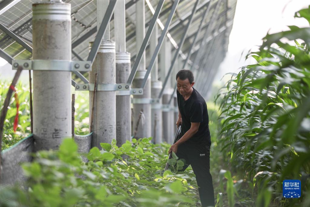 www.39814摇钱树论坛摇钱树开奖
